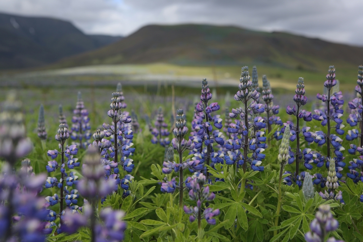 소중한 사람과의 만남
